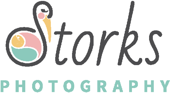 Storks Photography